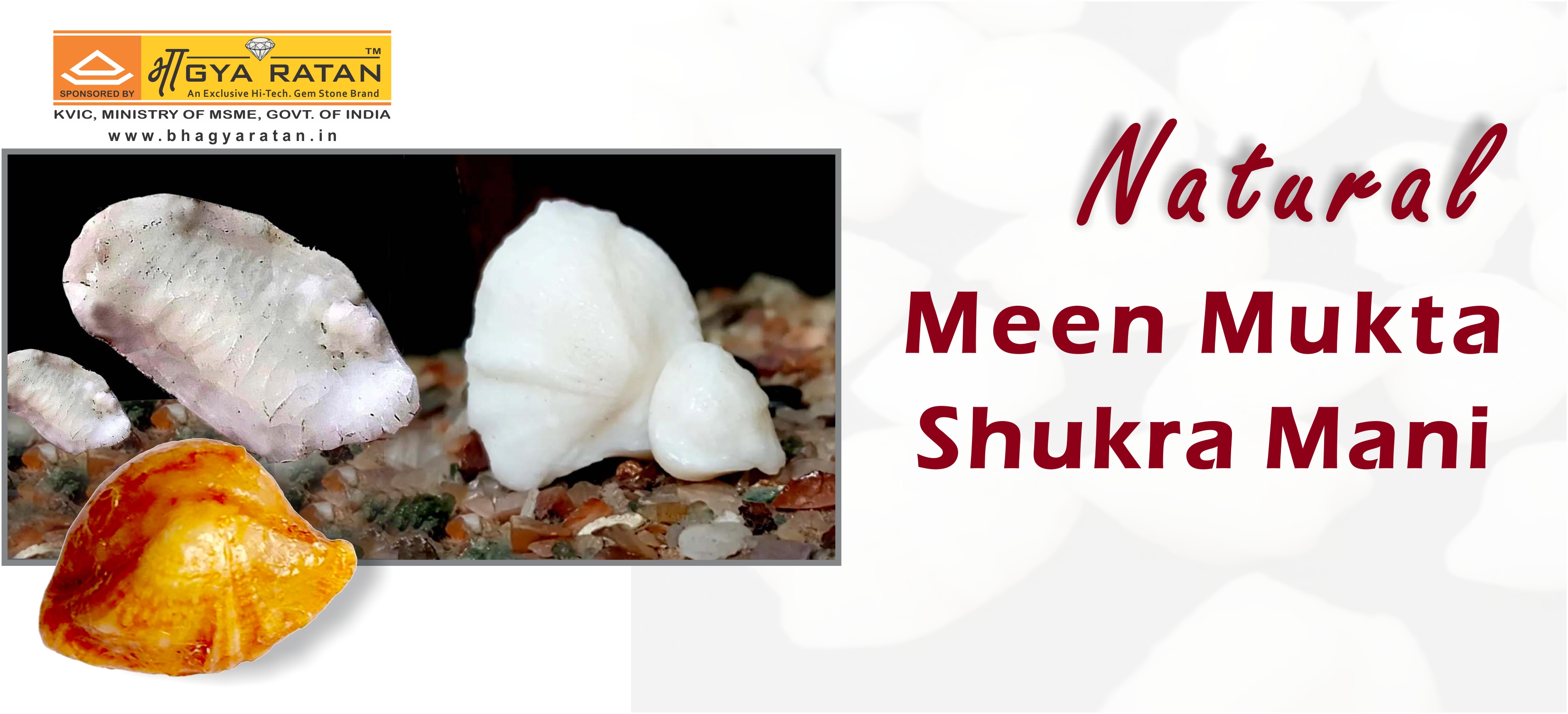 Product Banner 3.jpg